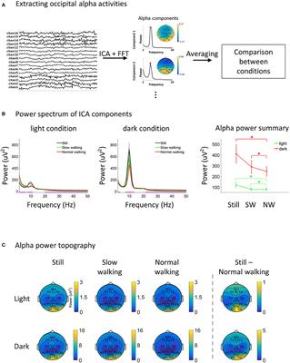 Overground Walking Decreases Alpha Activity and Entrains Eye Movements in Humans